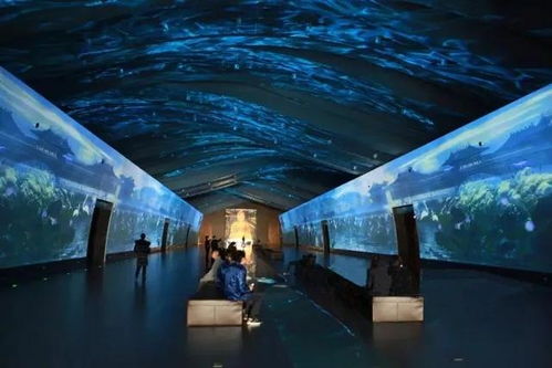 科技賦能，連接古今 探索博物館發(fā)展的新趨勢(shì)